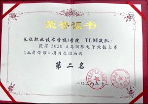 义乌国际电子竞技大赛荣誉证书