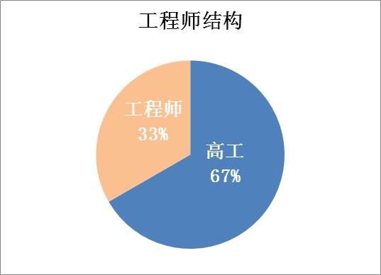 师资工程师比例结构